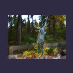 2012-10-20_Fall_AQUILA (436)b.JPG